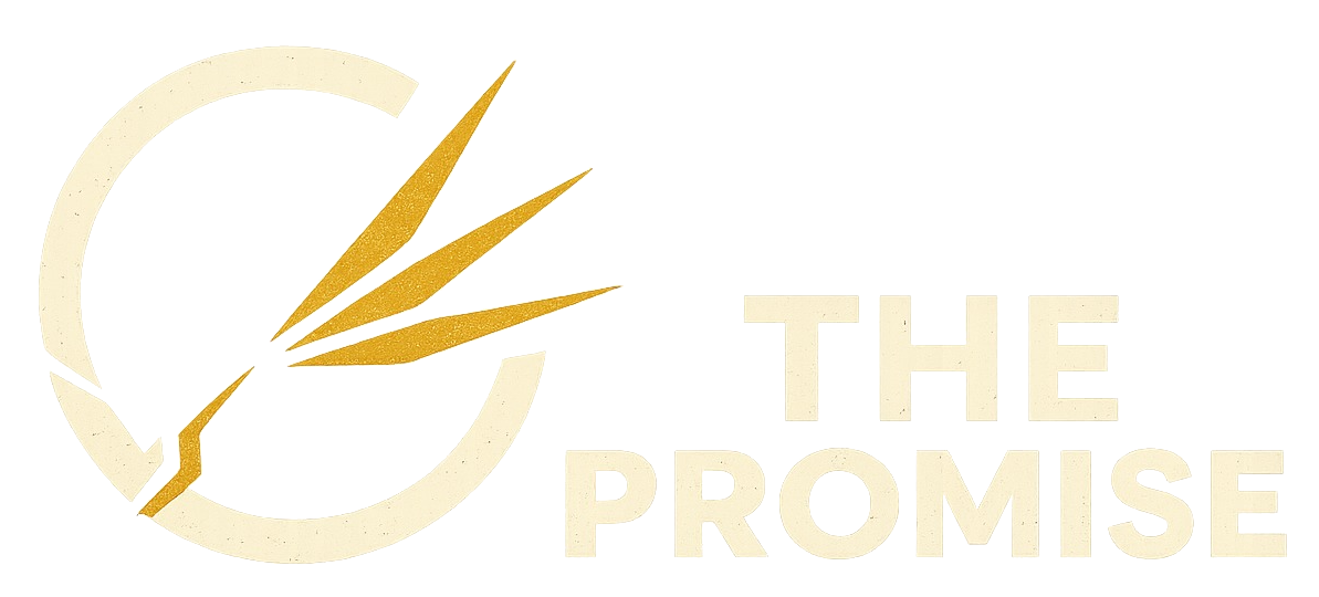 The Promise